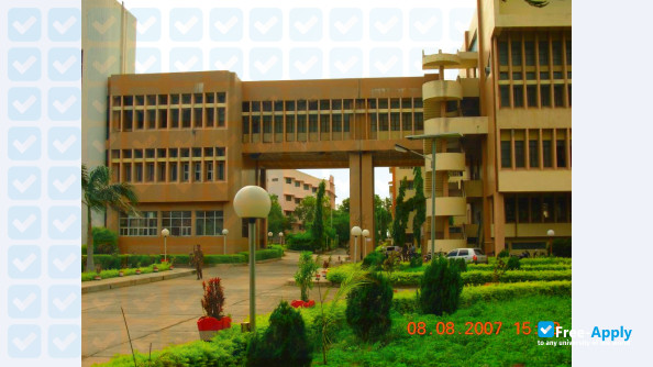 Babasaheb Naik College of Engineering, Pusad photo #7