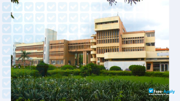 Babasaheb Naik College of Engineering, Pusad photo #2