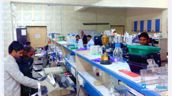 Photo de l’National Institute of Pharmaceutical Education and Research Hajipur #4