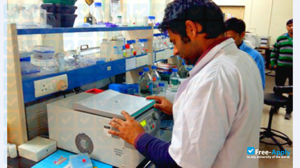 National Institute of Pharmaceutical Education and Research Hajipur photo #3