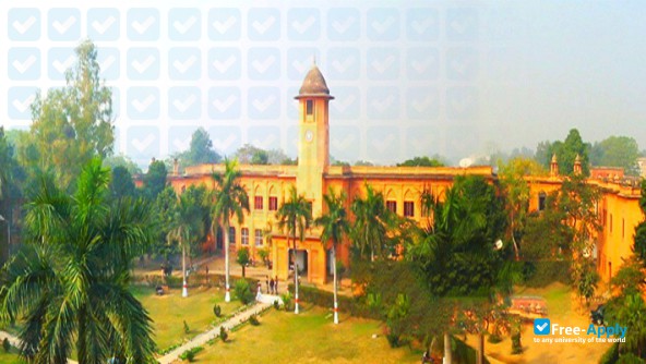 Lucknow Christian College фотография №6