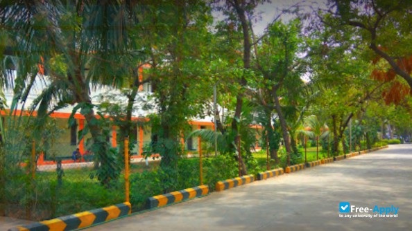 Photo de l’CKN College #3