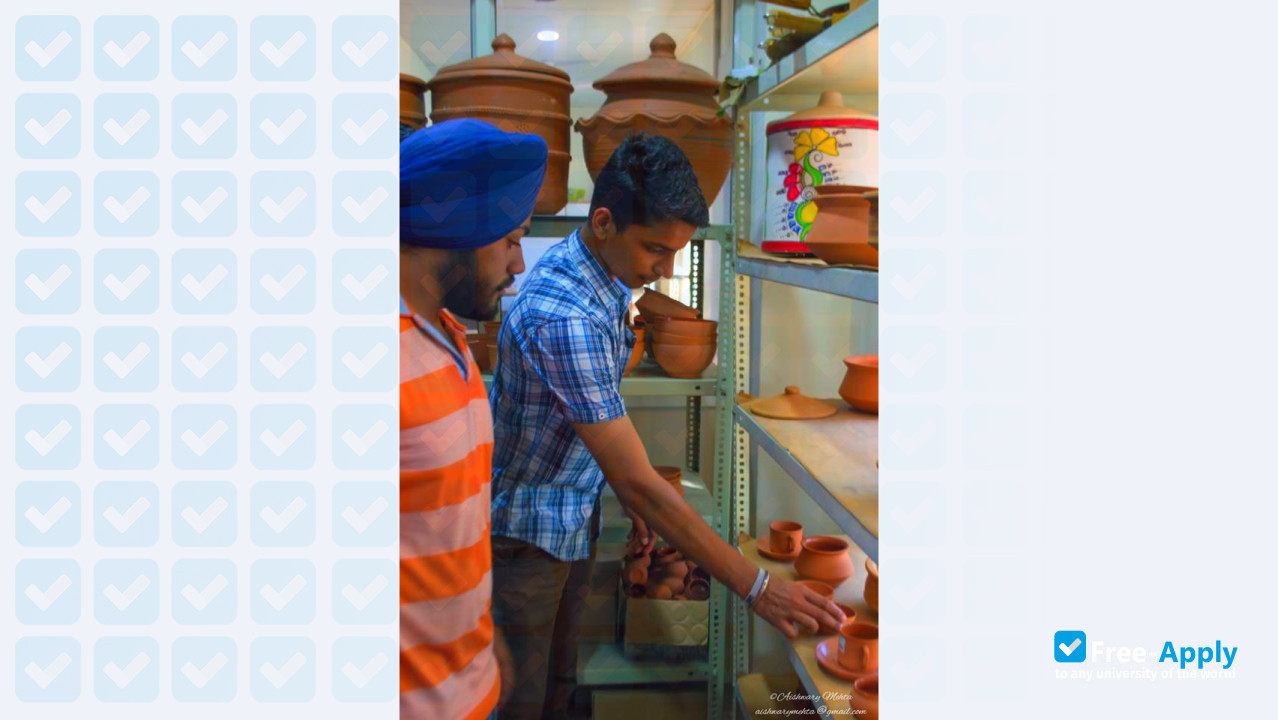 Photo de l’Maharaja Ranjit Singh College of Professional Sciences #19
