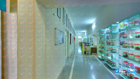 Maliba Pharmacy College фотография №9