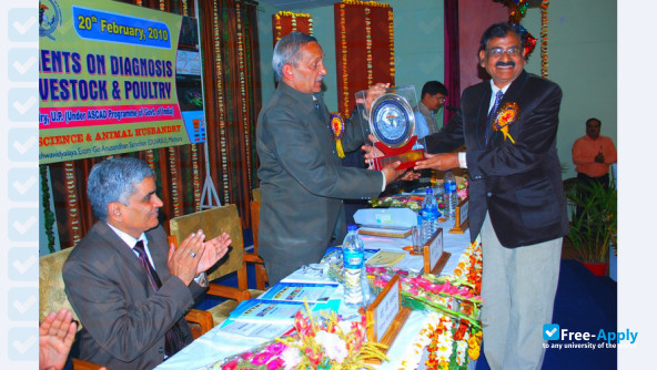 Pandit Deen Dayal Upadhaya Pashu Chikitsa Vigyan Vishwa Vidhyalaya evam Go Anusandhan Sansthan photo #4