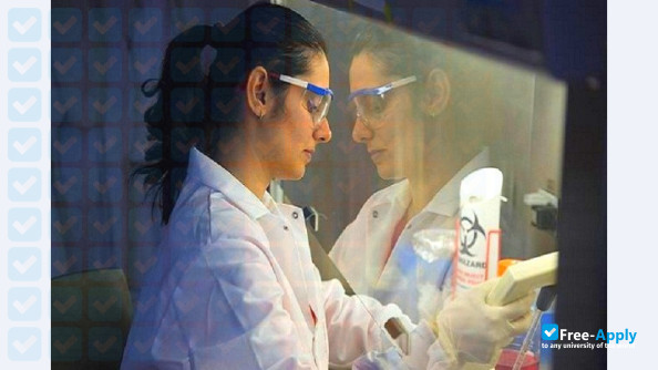 Tata Institute of Fundamental Research Graduate School photo #7