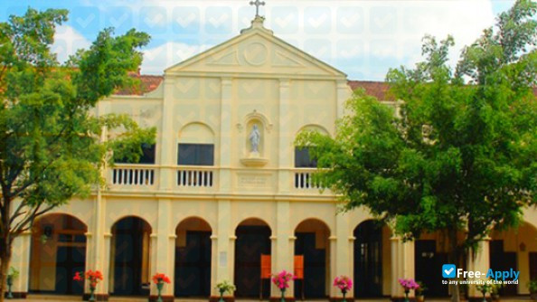 Maris Stella College Vijayawada фотография №9