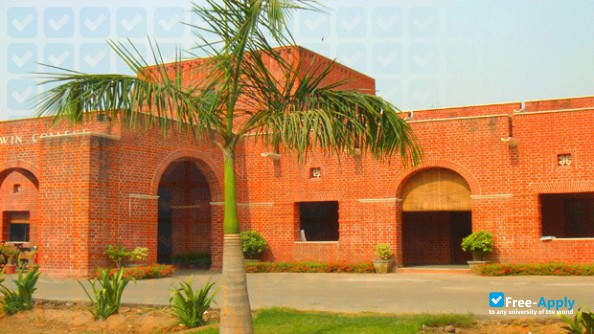 Lady Irwin College Delhi University фотография №4