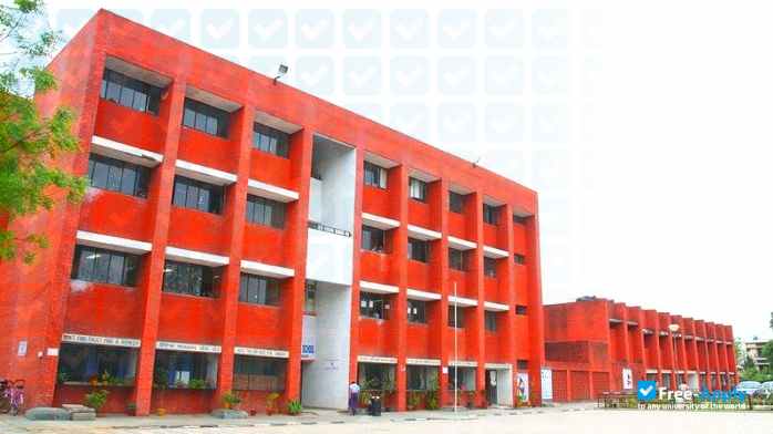 Government College of Commerce and Business Administration photo #8