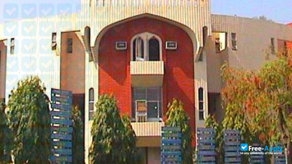 Hamdard University Centre for Federal Studies photo #6