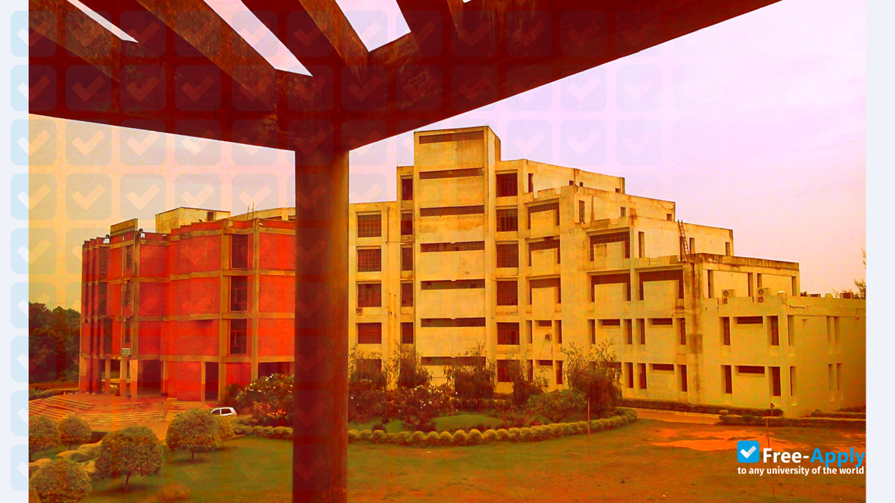 Piloo Mody College of Architechture Cuttack photo #8