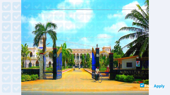 Foto de la Agricultural College Bapatla #5