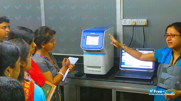 Institute of Pharmacy Pt R S University Raipur photo #8