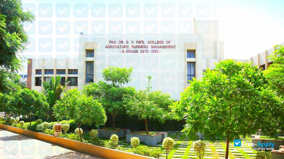 Dr. D. Y. Patil College of Agricultural Business Management photo #12