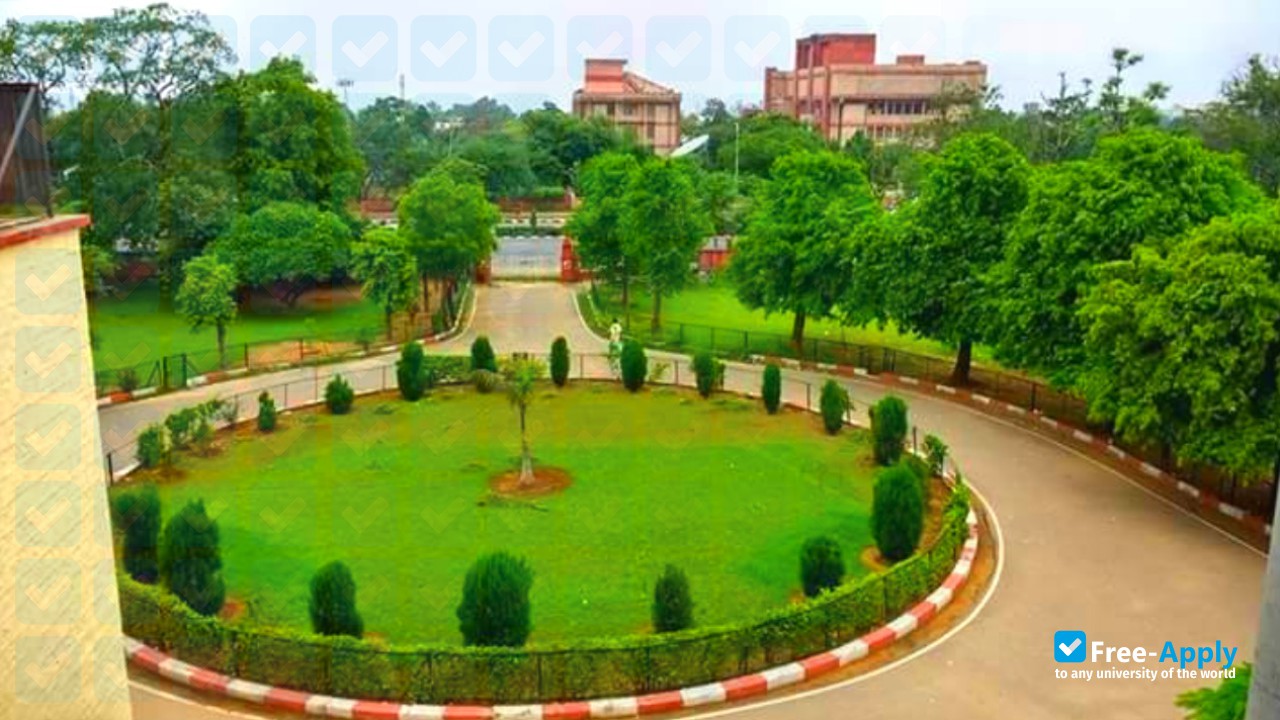 Foto de la University Commerce College Jaipur #4