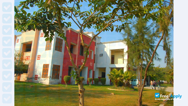 Foto de la Dr B R Ambedkar University (Agra University) #2