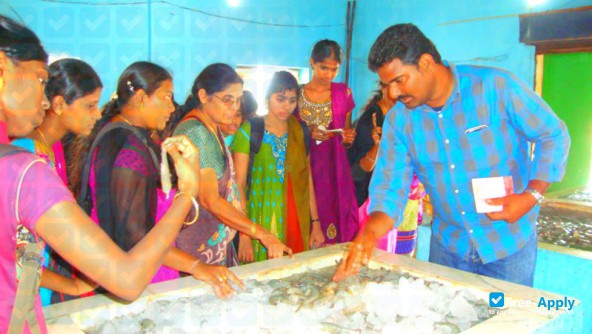 Photo de l’J.M.J College For Women Tenali #3