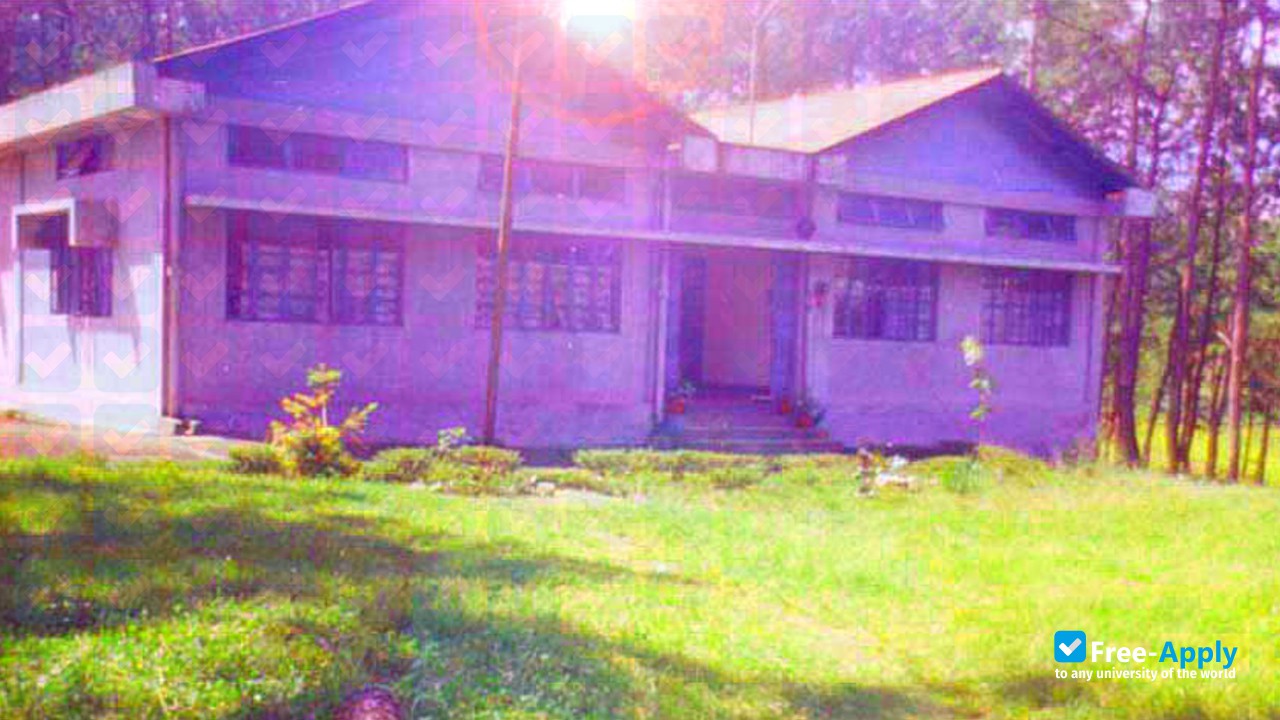 District Institute of Education & Training Thadlaskein photo