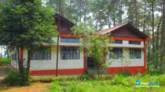 District Institute of Education & Training Thadlaskein photo #3