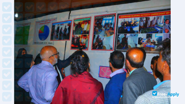 Government Degree College Sopore photo #6