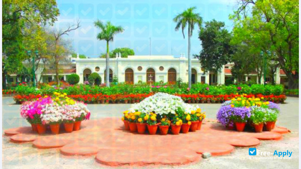 I P College Campus 2 photo #3