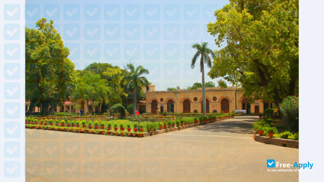 I P College Campus 2 photo #2