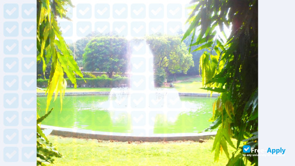 Photo de l’Pakuahat Degree College #4