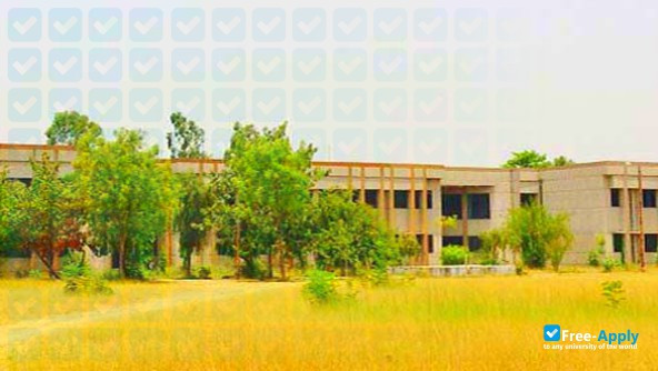 Ramabai Government Women Post Graduate College Ambedkar Nagar photo #3