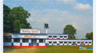 Miniatura de la Birpara college #3