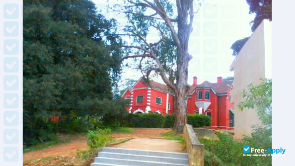 Government Arts College Ooty photo #3
