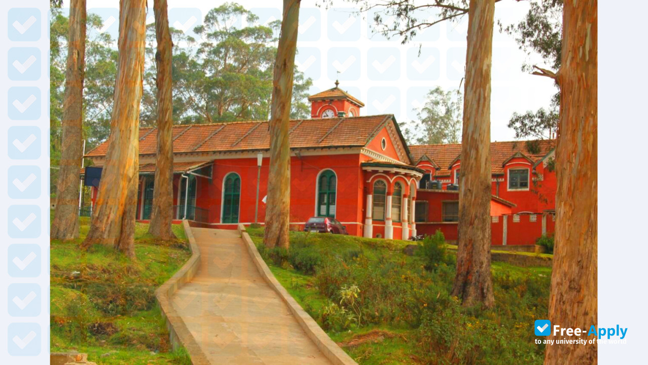 Foto de la Government Arts College Ooty #9