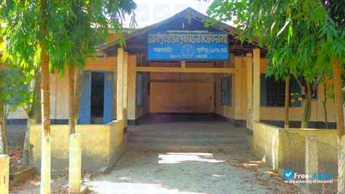 Bhawanipur Hastinapur Bijni College photo #4