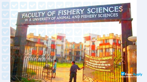 West Bengal University of Animal and Fishery Sciences фотография №5