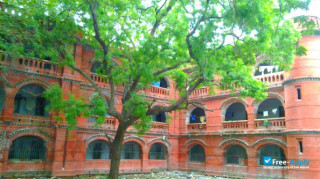 Miniatura de la Presidency College Chennai #7