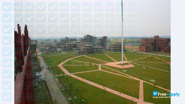 O P Jindal Global University photo #4