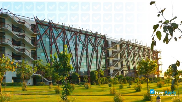 O P Jindal Global University photo #1