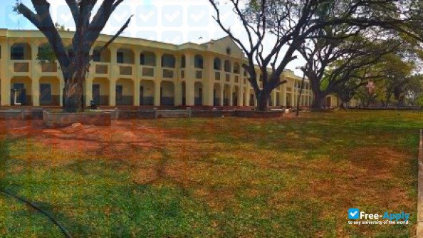 Foto de la Sanatana Dharma College #5
