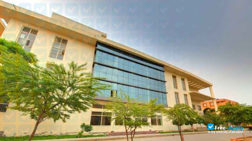 Maharishi Markandeshwar University photo #7