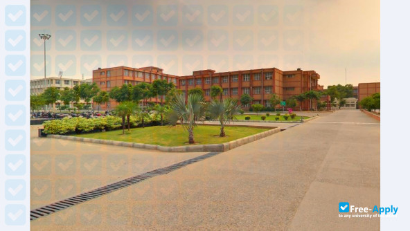 Maharishi Markandeshwar University photo #7