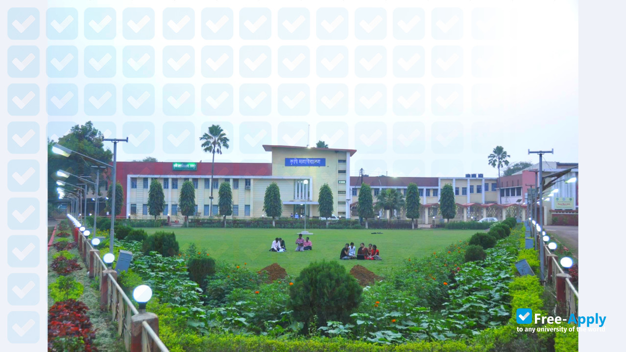 Indira Gandhi Krishi Vishwavidyalaya photo #8