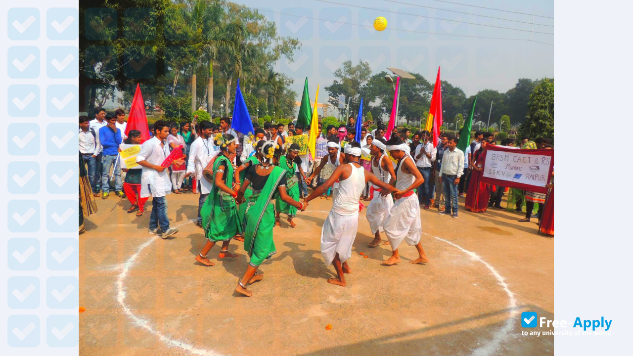 Indira Gandhi Krishi Vishwavidyalaya photo #2