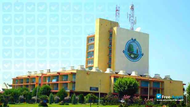 Foto de la University of Kashmir #4