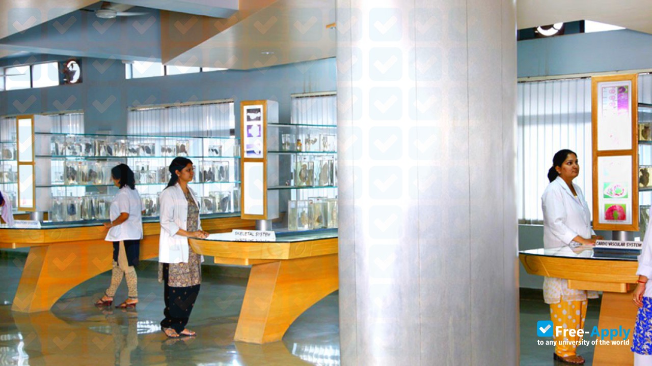 Shreemati Nathibai Damodar Thackersey Women's University photo
