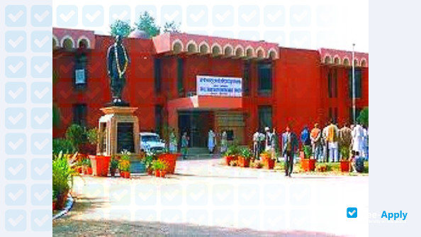 Shri Lal Bahadur Shastri Rashtirya Sanskrit Vidyapeetha фотография №5