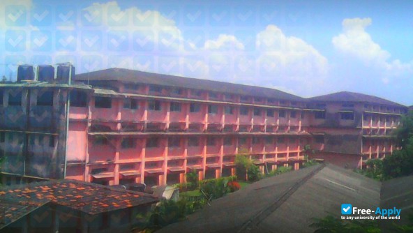 Foto de la Shree Rayeshwar Institute of Engineering and Information Technology #3