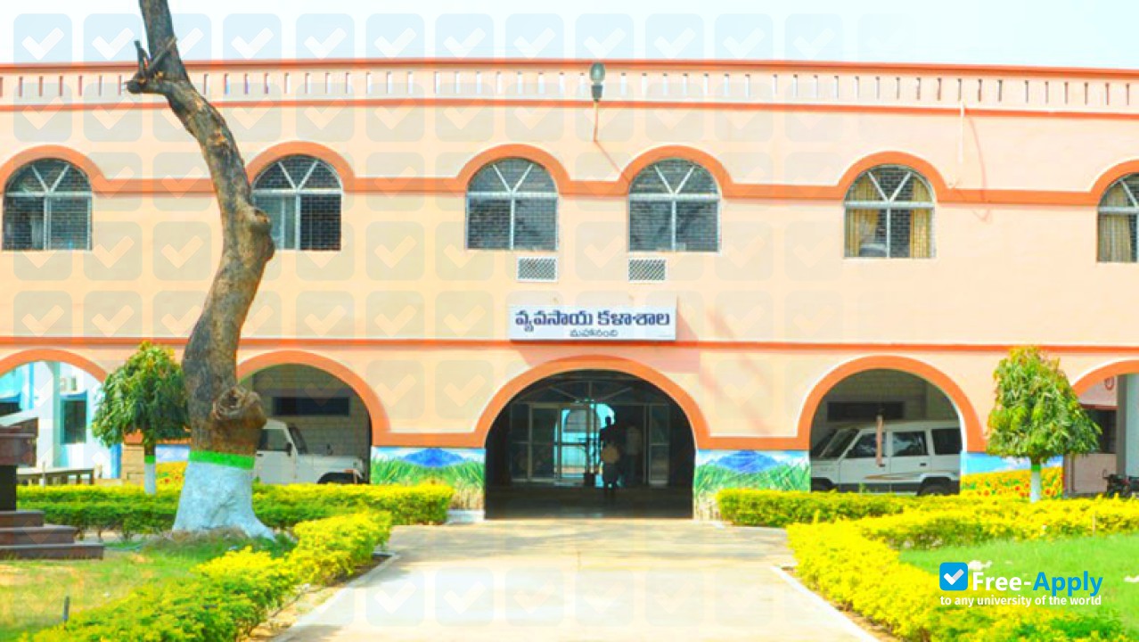 Acharya N G Ranga Agricultural University photo #2