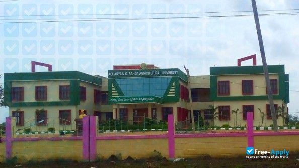 Acharya N G Ranga Agricultural University photo #2