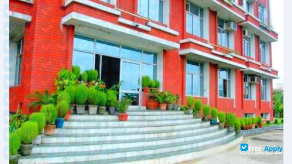 Delhi School of Professional Studies and Research photo #5