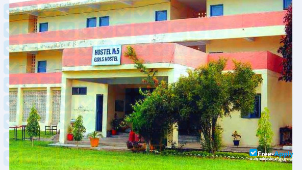Beant College of Engineering & Technology Gurdaspur photo #3