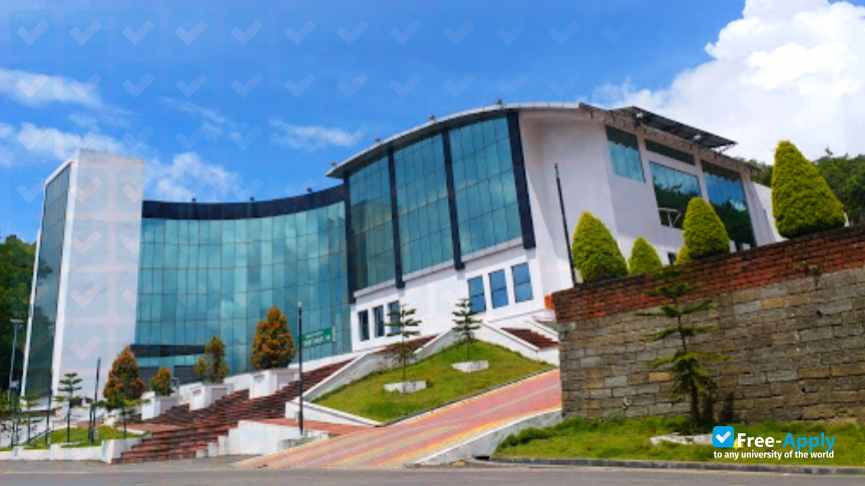 Mizoram University photo #2